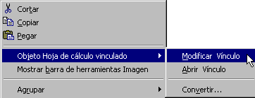 Menú contexto: Linked Worksheet Object