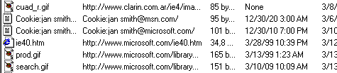 Temporary Internet Files