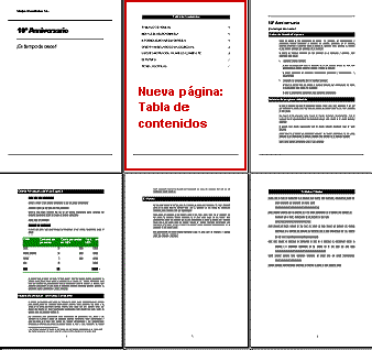 Informe:con página nueva para Tabla de contenidos