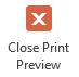 Button: Close Print Preview (Access 2013)