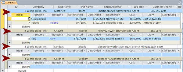 Subdatasheets expanded (Access 2007)