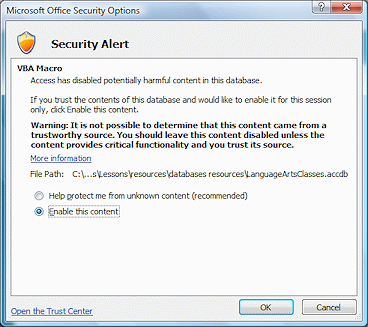 Message: Security Options  (Access 2007)