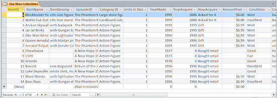 Datasheet View