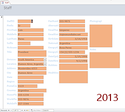 Staff form after all controls formatted with Format Painter (Access 2013)