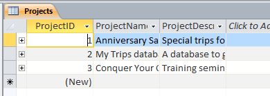 Table Datasheet View: Projects