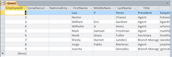 Datasheet View: Query - all fields from Staff table