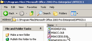Explorer window: MSACCESS.EXE
