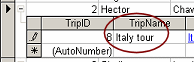 Saved edit from inside subdatasheet