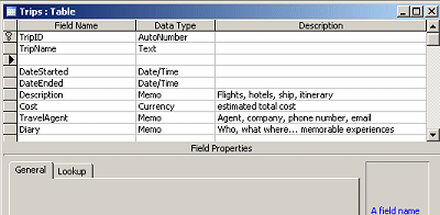 Table Design View: inserted blank row