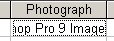 Form Datasheet: an inserted image shows only text for the kind of image that it is.