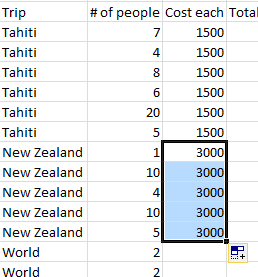 AutoFill 3000 as cost for New Zealand trip