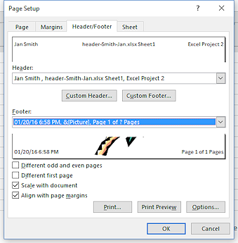 Dialog: Page Setup - text in header and footer (Excel 2016)