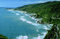 Original image of beach