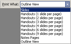 Button: Print What - list opened