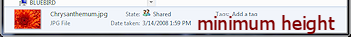 Details pane at minimum height (Win7)