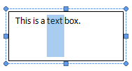 Text Box with text selected (Word 2007)