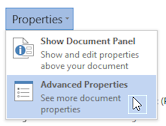 Button: Properties > Advanced Properties (Word 2013)