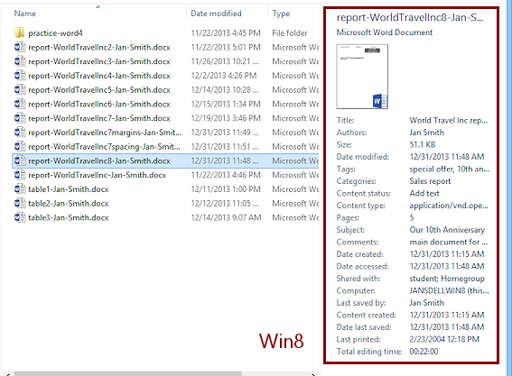 Windows 7 Explorer - Details pane for report
