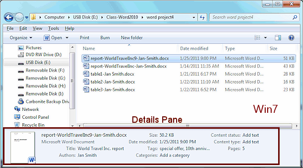 Windows 7 Explorer - Details pane for report