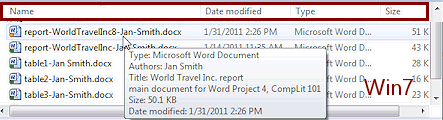 Popup tip of file properties for Report (Win7)
