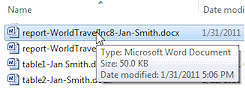 Explorer popup tip of short list of file properties (Win7)