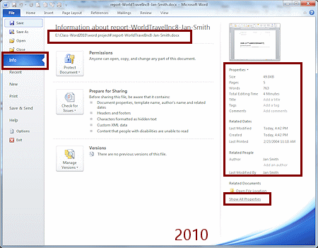 Info Pane for the report (Word 2010)