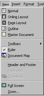 View menu in Word