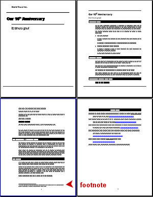 Report - 4 pages with footnote
