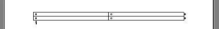 2 x 2 table across page width