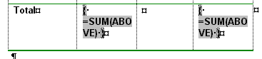 Text - Report table formulas displayed