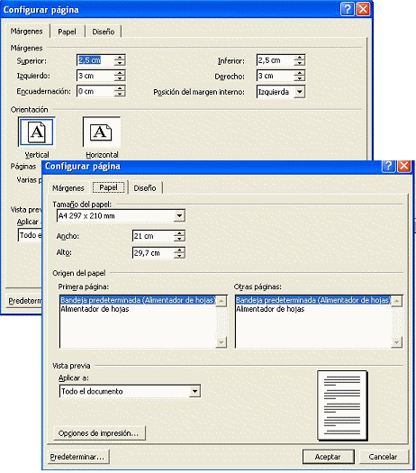 Diálogo: Configuar página - Word 2002- Margenes y Tamaño del papel