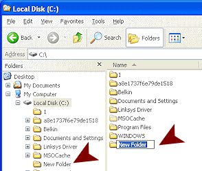Window Explorer: New Folder ready for renaming (WinXP)