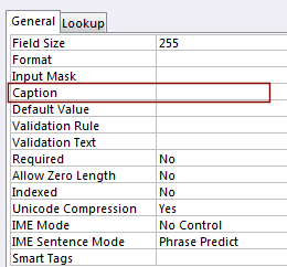 Properties for field First Name (Access 2007)