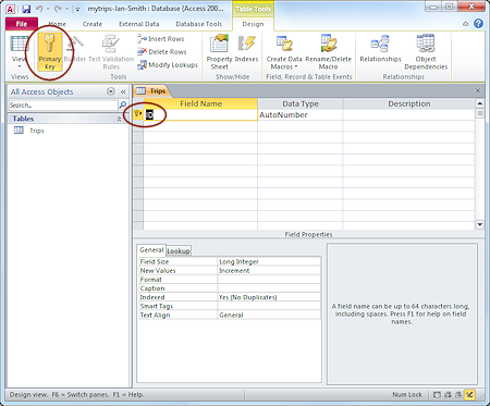My Trips table - initial design view (Access 2010)