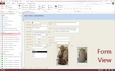 Form View (Access 2013)