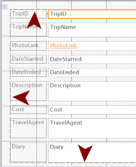 Dashed outline around table of controls and labels in autoform (Access 2010)