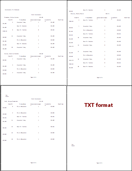 Exported report in TXT format