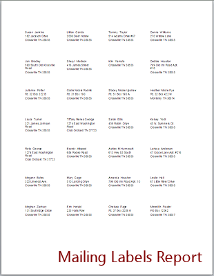 Print Preview: Mailing Labels
