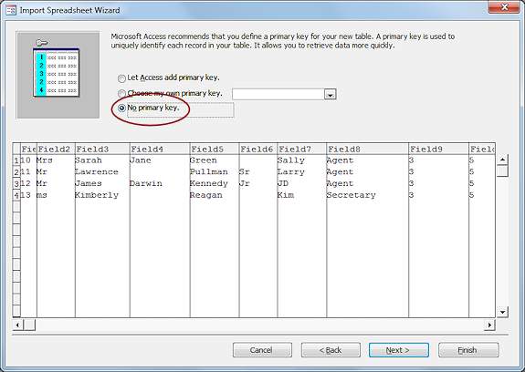 Import Spreadsheet Wizard: Step 5 - primary key