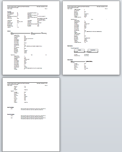 Documenter report for Projects table (Access 2010)