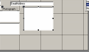 Form Design View: Photograph resized