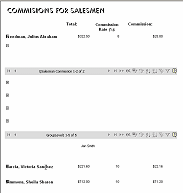 Data Access Page, salesman expanded