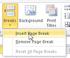 Button: Breaks > Insert Page Break (Excel 2010)