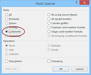 Dialog: Paste Special > Comments (Excel 2013)
