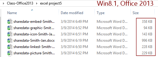Windows Explorer: all versions of sharedata (Win8.1, Office 2013)
