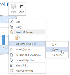 Right Click Menu: Worksheet Object > Open (Excel 2010)