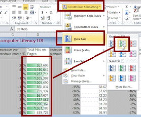 Conditional Formatting with Data Bars