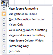 Button: Paste Option (Excel 2007)