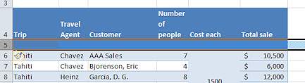 Inserted new row 5. Has same formatting as column labels.