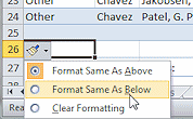 Button: Format Options > Format Same As Below (Excel 2010)